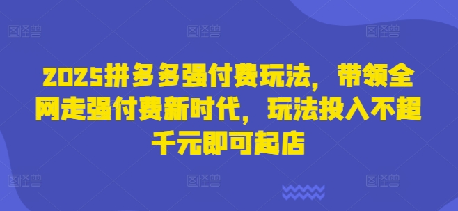2025拼多多强付费玩法，带领全网走强付费新时代，玩法投入不超千元即可起店网赚项目-副业赚钱-互联网创业-资源整合八方网创