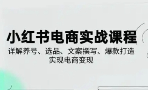 小红书从0-1实操课(2023-2025)，详解养号、选品、文案撰写、爆款打造实现电商变现网赚项目-副业赚钱-互联网创业-资源整合八方网创