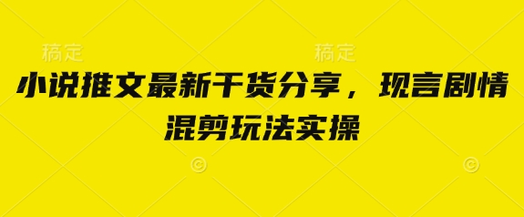 小说推文最新干货分享，现言剧情混剪玩法实操网赚项目-副业赚钱-互联网创业-资源整合八方网创