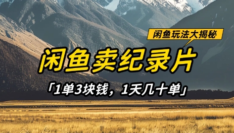 闲鱼卖纪录片1单3块钱，1天几十单，项目稳定有潜力网赚项目-副业赚钱-互联网创业-资源整合八方网创