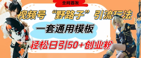 视频号“野路子”玩法，评论区疯狂截流，一套模板单日单号引流50+创业粉网赚项目-副业赚钱-互联网创业-资源整合八方网创