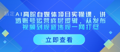 AI高阶自媒体项目实操课，讲透账号运营底层逻辑，从发布视频到规避违规一网打尽网赚项目-副业赚钱-互联网创业-资源整合八方网创