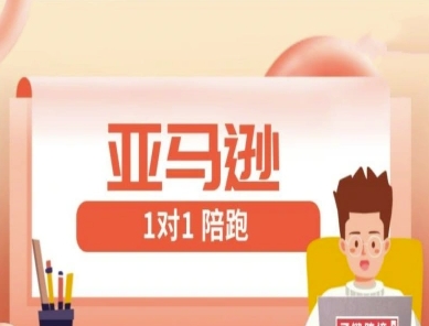 亚马逊1对1陪跑课(FBA/FBM精铺)跨境亚马逊教程网赚项目-副业赚钱-互联网创业-资源整合八方网创