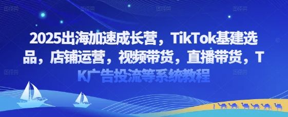 2025出海加速成长营，TikTok基建选品，店铺运营，视频带货，直播带货，TK广告投流等系统教程网赚项目-副业赚钱-互联网创业-资源整合八方网创