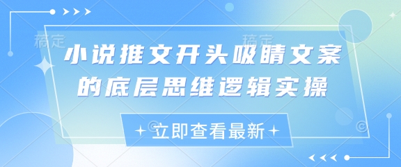 小说推文开头吸睛文案的底层思维逻辑实操网赚项目-副业赚钱-互联网创业-资源整合八方网创