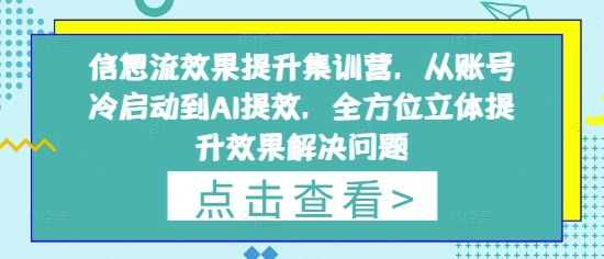 信息流效果提升集训营，从账号冷启动到AI提效，全方位立体提升效果解决问题网赚项目-副业赚钱-互联网创业-资源整合八方网创
