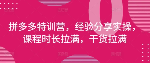 拼多多特训营，经验分享实操，课程时长拉满，干货拉满(更新25年4月)网赚项目-副业赚钱-互联网创业-资源整合八方网创