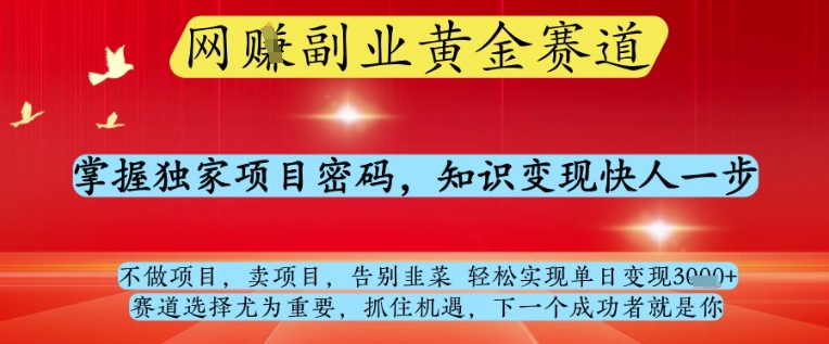 网创副业黄全赛道，掌握独家项目密码，知识变现快人一步，告别韭菜轻松实现单日变现1k+网赚项目-副业赚钱-互联网创业-资源整合八方网创