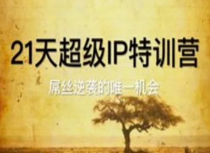 21天超级IP特训营，屌丝逆袭的唯一机会网赚项目-副业赚钱-互联网创业-资源整合八方网创