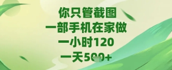 你只管截图，一部手机在家做，苹果安卓都可以，一天5张+网赚项目-副业赚钱-互联网创业-资源整合八方网创