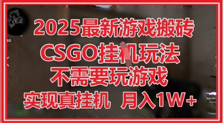 2025最新游戏搬砖，CSGO挂G，不需要玩游戏，实现真挂G，月入1W+网赚项目-副业赚钱-互联网创业-资源整合八方网创