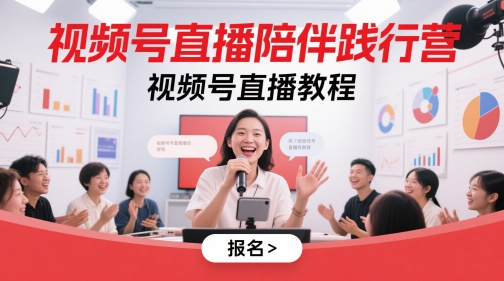 视频号直播陪伴践行营，视频号直播教程网赚项目-副业赚钱-互联网创业-资源整合八方网创