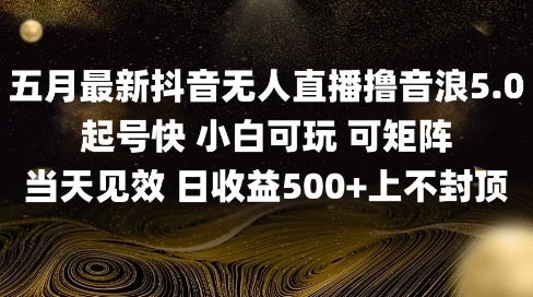 2025五月最新无人直播撸音浪单日产出5张+实操教程网赚项目-副业赚钱-互联网创业-资源整合八方网创