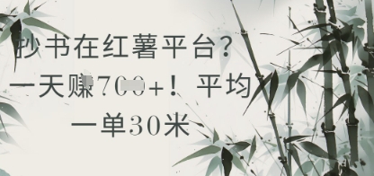 抄书在小红薯平台？平均一单30米，一天收益几张！网赚项目-副业赚钱-互联网创业-资源整合八方网创