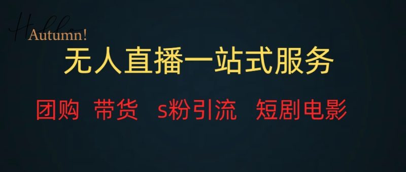 （7654期）无人直播全套服务，变现稳定网赚项目-副业赚钱-互联网创业-资源整合八方网创
