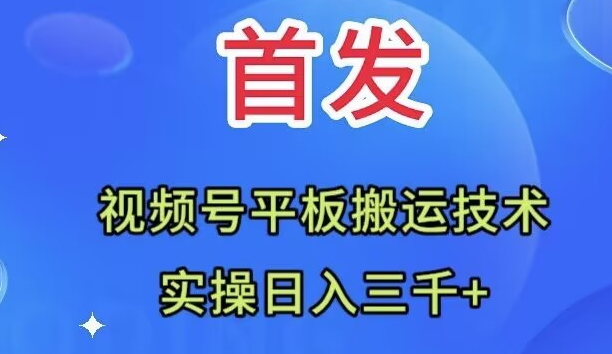全网首发：视频号平板搬运技术，实操日入三千＋网赚项目-副业赚钱-互联网创业-资源整合八方网创