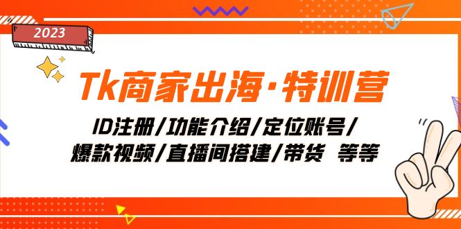 Tk商家出海·特训营：ID注册/功能介绍/定位账号/爆款视频/直播间搭建/带货.网赚项目-副业赚钱-互联网创业-资源整合八方网创