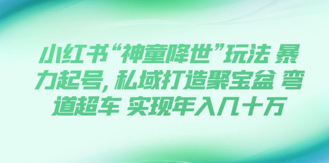 （7673期）小红书“神童降世”玩法 暴力起号,私域打造聚宝盆 弯道超车 实现年入几十万网赚项目-副业赚钱-互联网创业-资源整合八方网创