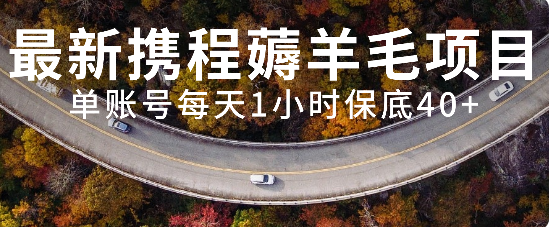 最新携程薅羊毛项目，单账号每天1小时保底收益40+，可矩阵操作网赚项目-副业赚钱-互联网创业-资源整合八方网创