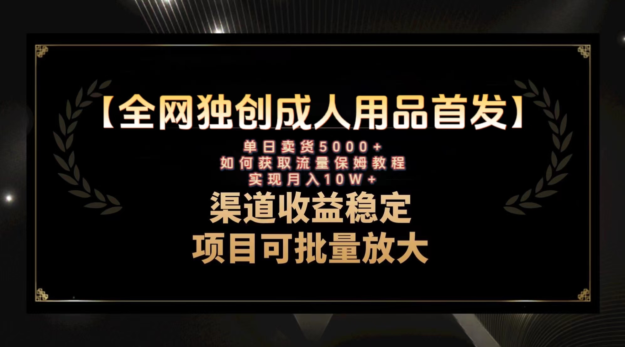 最新全网独创首发，成人用品赛道引流获客，月入10w保姆级教程网赚项目-副业赚钱-互联网创业-资源整合八方网创