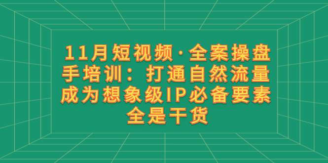 11月短视频·全案操盘手培训：打通自然流量 成为想象级IP必备要素 全是干货网赚项目-副业赚钱-互联网创业-资源整合八方网创