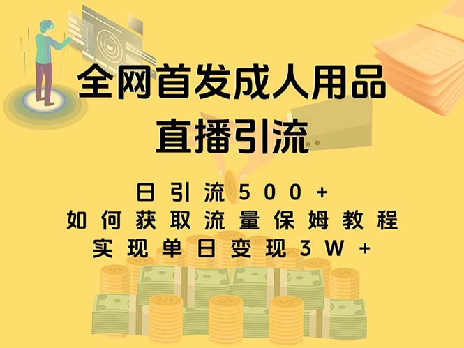 最新全网独创首发，成人用品直播引流获客暴力玩法，单日变现3w保姆级教程网赚项目-副业赚钱-互联网创业-资源整合八方网创