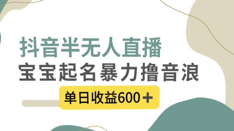 抖音半无人直播,宝宝起名,暴力撸音浪,单日收益600+网赚项目-副业赚钱-互联网创业-资源整合八方网创