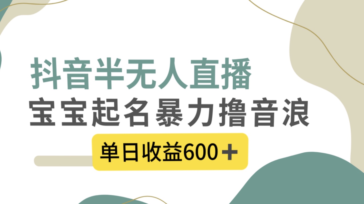 抖音半无人直播，宝宝起名，暴力撸音浪，单日收益600+网赚项目-副业赚钱-互联网创业-资源整合八方网创