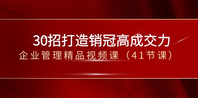 30招-打造销冠高成交力-企业管理精品视频课（41节课）网赚项目-副业赚钱-互联网创业-资源整合八方网创