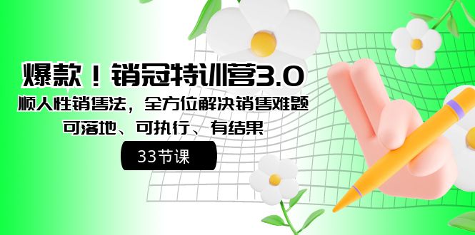 爆款！销冠特训营3.0之顺人性销售法，全方位解决销售难题、可落地、可执…网赚项目-副业赚钱-互联网创业-资源整合八方网创