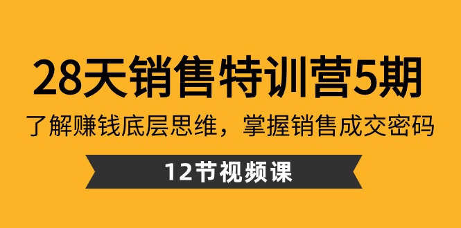 28天·销售特训营5期：了解赚钱底层思维，掌握销售成交密码（12节课）网赚项目-副业赚钱-互联网创业-资源整合八方网创
