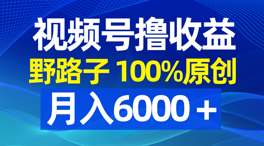 视频号野路子撸收益，100%原创，条条爆款，月入6000＋网赚项目-副业赚钱-互联网创业-资源整合八方网创