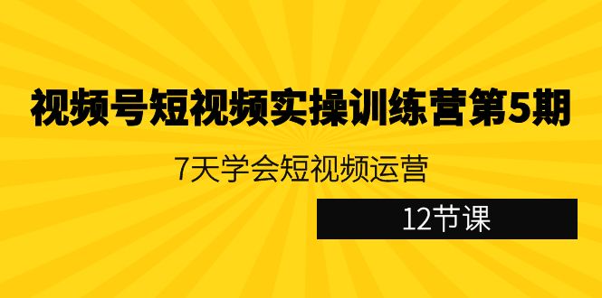 视频号短视频实操训练营第5期：7天学会短视频运营（12节课）网赚项目-副业赚钱-互联网创业-资源整合八方网创