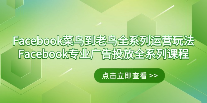 Facebook-菜鸟到老鸟全系列运营玩法+Facebook-专业广告投放全系列课程网赚项目-副业赚钱-互联网创业-资源整合八方网创