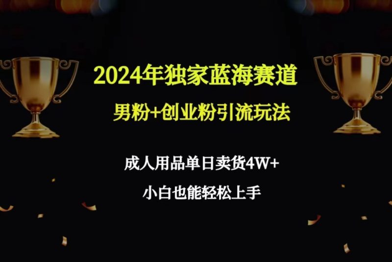 2024年独家蓝海赛道男粉+创业粉引流玩法，成人用品单日卖货4W+保姆教程网赚项目-副业赚钱-互联网创业-资源整合八方网创