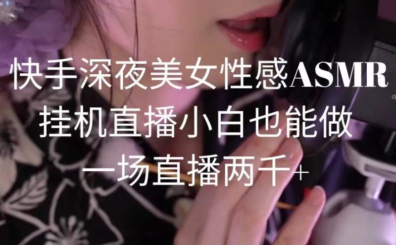 快手深夜美女性感ASMR挂机直播，小白也能做，一场直播两千+网赚项目-副业赚钱-互联网创业-资源整合八方网创