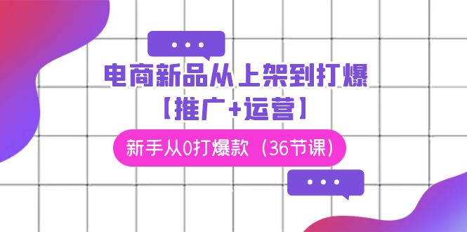 电商 新品从上架到打爆【推广+运营】，新手从0打爆款（36节课）网赚项目-副业赚钱-互联网创业-资源整合八方网创