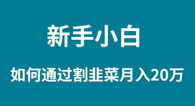 新手小白如何通过割韭菜月入 20W网赚项目-副业赚钱-互联网创业-资源整合八方网创