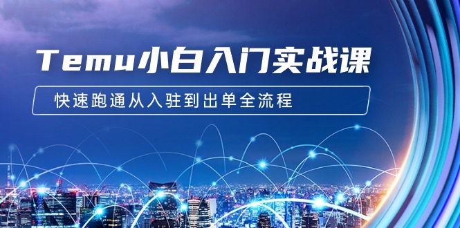 Temu小白入门实战课：跨境拼多多电商培训 快速跑通从入驻到出单全流程-12节网赚项目-副业赚钱-互联网创业-资源整合八方网创