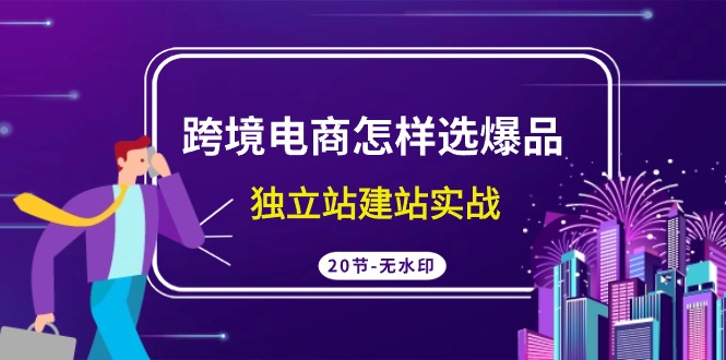 跨境电商怎样选爆品，独立站建站实战（20节高清无水印课）网赚项目-副业赚钱-互联网创业-资源整合八方网创