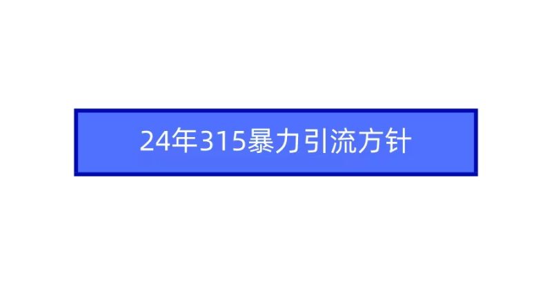 2024年315暴力引流方针网赚项目-副业赚钱-互联网创业-资源整合八方网创