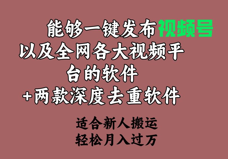 能够一键发布视频号以及全网各大视频平台的软件+两款深度去重软件 适合…网赚项目-副业赚钱-互联网创业-资源整合八方网创