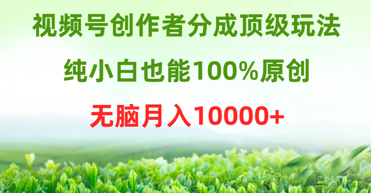视频号创作者分成顶级玩法，纯小白也能100%原创，无脑月入10000+网赚项目-副业赚钱-互联网创业-资源整合八方网创