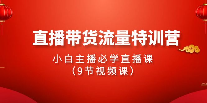 2024直播带货流量特训营，小白主播必学直播课（9节视频课）网赚项目-副业赚钱-互联网创业-资源整合八方网创