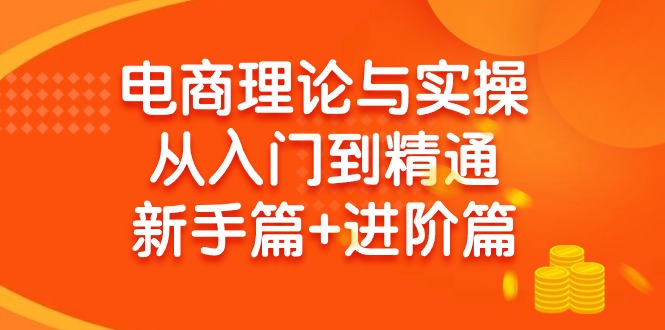 电商理论与实操从入门到精通 新手篇+进阶篇网赚项目-副业赚钱-互联网创业-资源整合八方网创