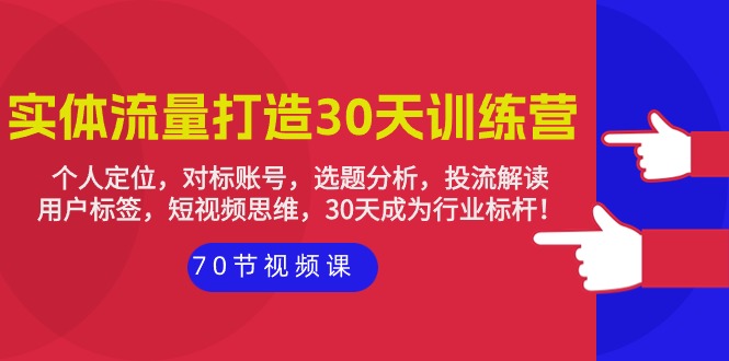 实体-流量打造-30天训练营：个人定位，对标账号，选题分析，投流解读-70节网赚项目-副业赚钱-互联网创业-资源整合八方网创