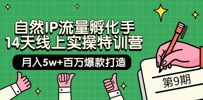 自然IP流量孵化手 14天线上实操特训营【第9期】月入5w+百万爆款打造 (74节)网赚项目-副业赚钱-互联网创业-资源整合八方网创