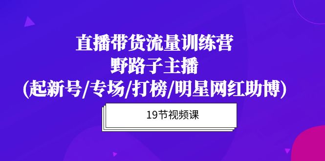 直播带货流量特训营，野路子主播(起新号/专场/打榜/明星网红助博)19节课网赚项目-副业赚钱-互联网创业-资源整合八方网创