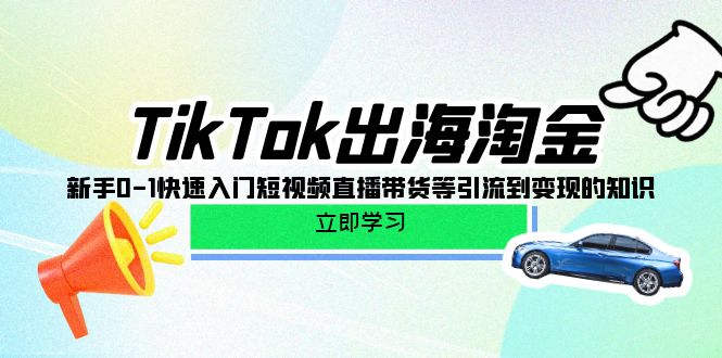 TikTok-出海淘金，新手0-1快速入门短视频直播带货等引流到变现的知识网赚项目-副业赚钱-互联网创业-资源整合八方网创