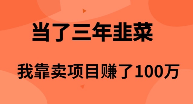 当了3年韭菜，我靠卖项目赚了100万网赚项目-副业赚钱-互联网创业-资源整合八方网创